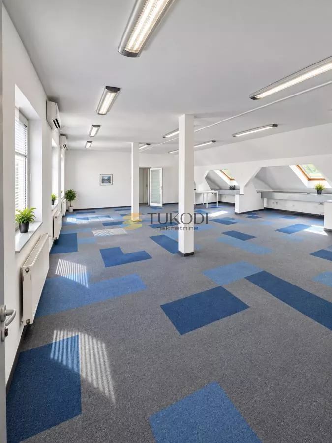Poslovni prostor,centar 350m2 - slika 6