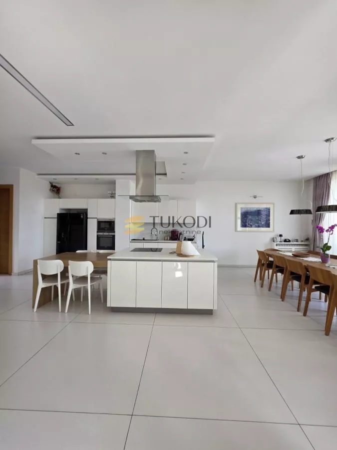 Duplex 292m2 + 60m2 Vase Stajića novogradnja - photo 13