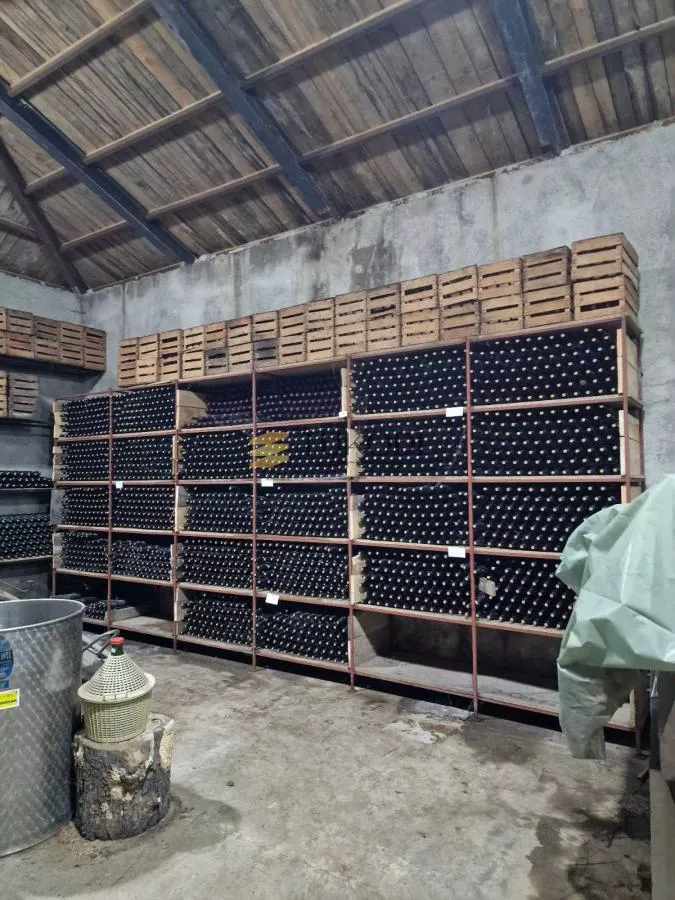 Dvorac Schulhoff and Winery - photo 43