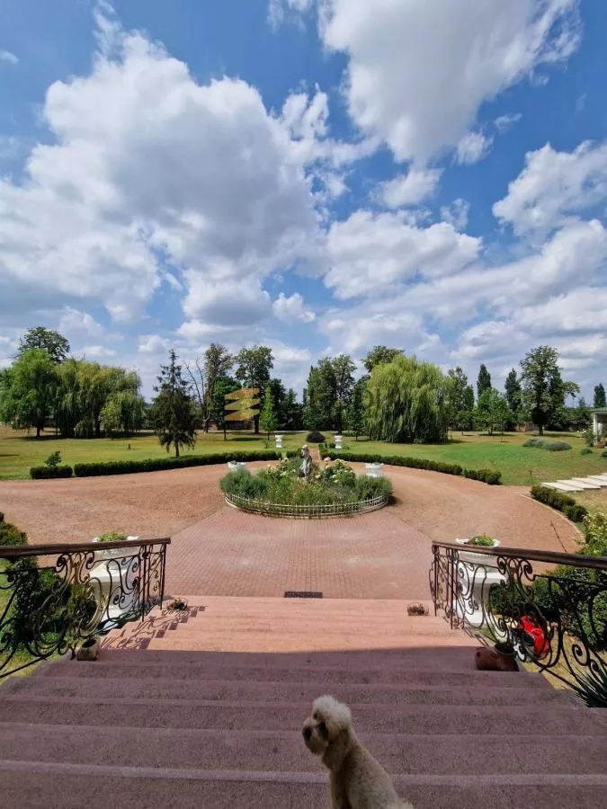 Dvorac Schulhoff and Winery - photo 31