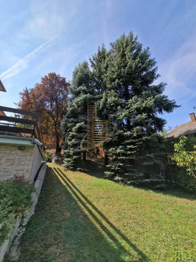Kuća 254m2 uknjižena 13a placa- Rakovac - slika 10