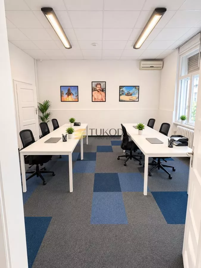 Poslovni prostor,centar 350m2 - slika 3