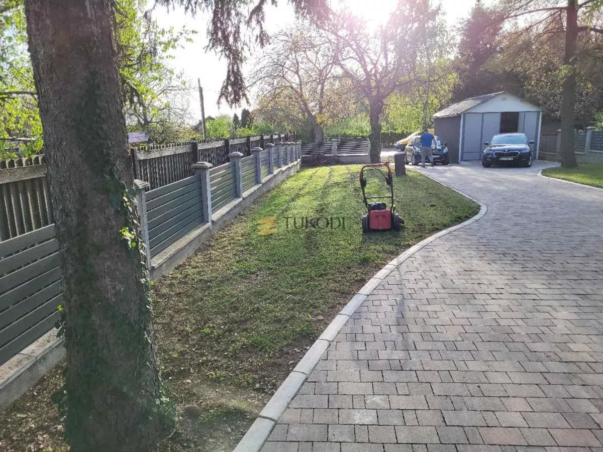 Kuća 425m2 Irig-Vinska kuća Kovačević - slika 3