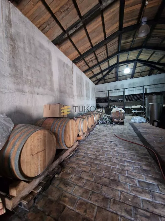 Dvorac Schulhoff and Winery - photo 46