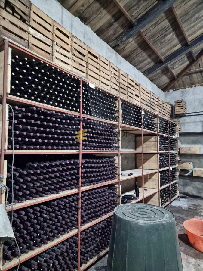 Dvorac Schulhoff and Winery - photo 44
