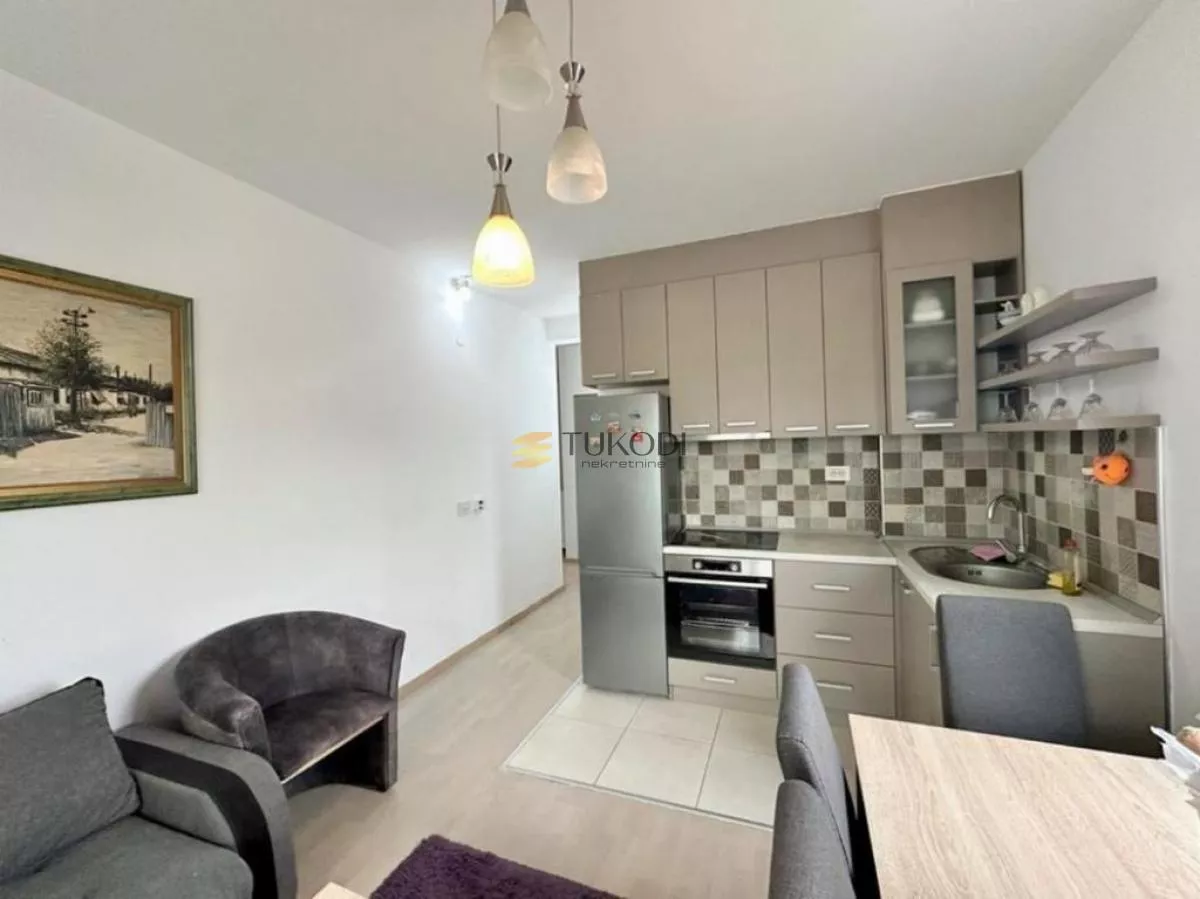Matice srpske | 47m2 + 17m2 terasa | namešten - slika 2