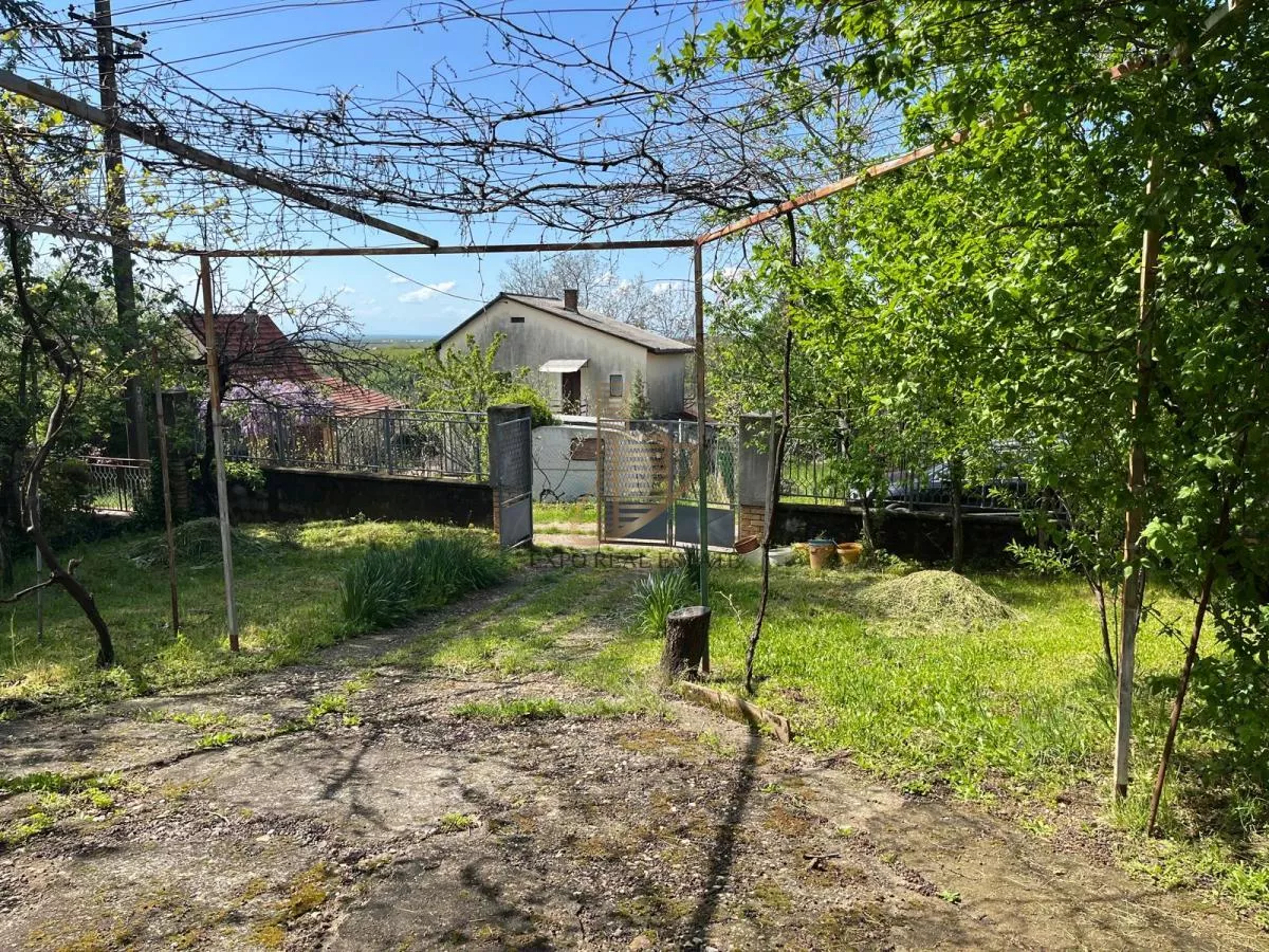 Uknjižena kuća sa pomoćnim objektima i voćnjakom - photo 14