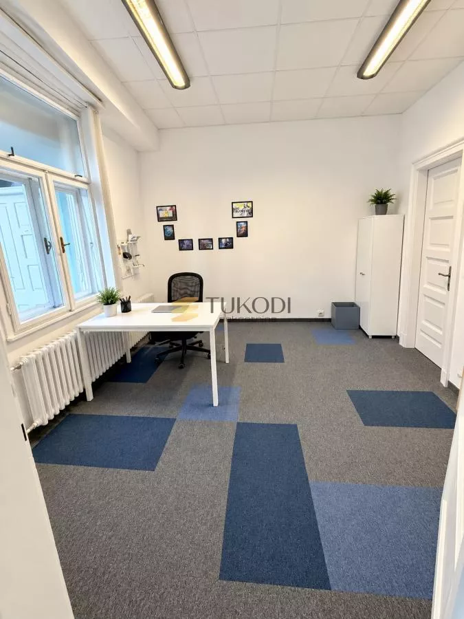 Poslovni prostor,centar 350m2 - slika 5