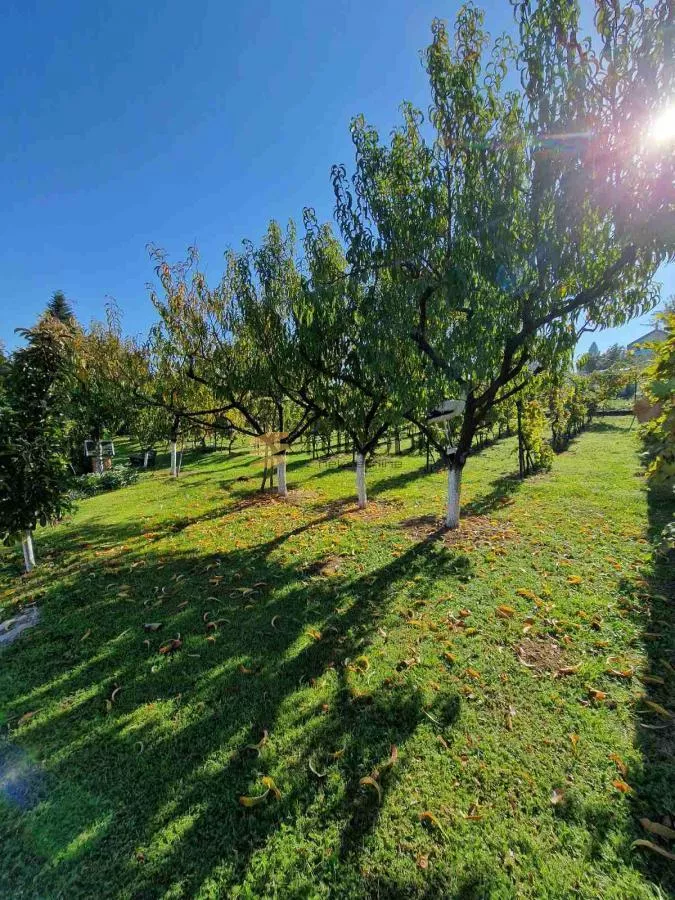 Prodaja ,kuća 160m2 , plac 27a - Čerević - slika 12