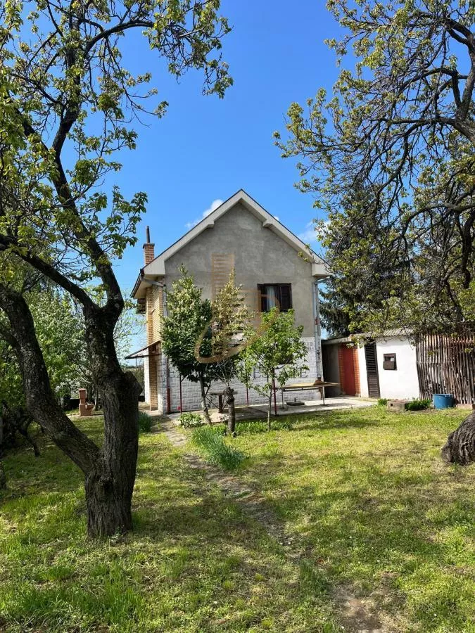 Uknjižena kuća sa pomoćnim objektima i voćnjakom - photo 3