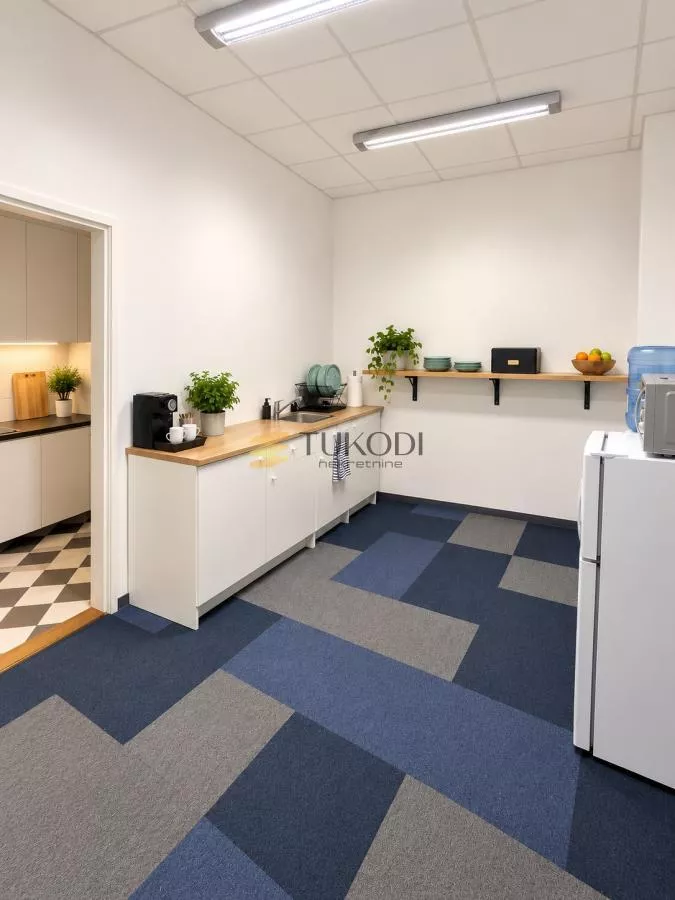 Poslovni prostor,centar 350m2 - slika 12