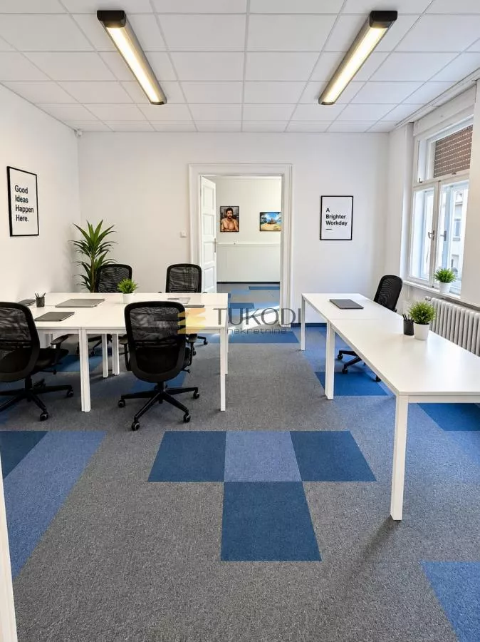 Poslovni prostor,centar 350m2 - slika 1