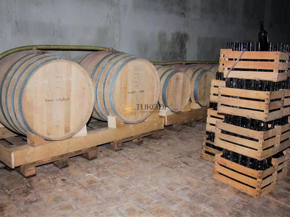 Dvorac Schulhoff and Winery - photo 30