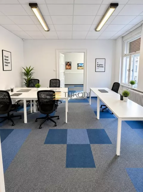Poslovni prostor,centar 350m2
